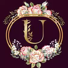 u name ki dp
